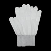 Glove