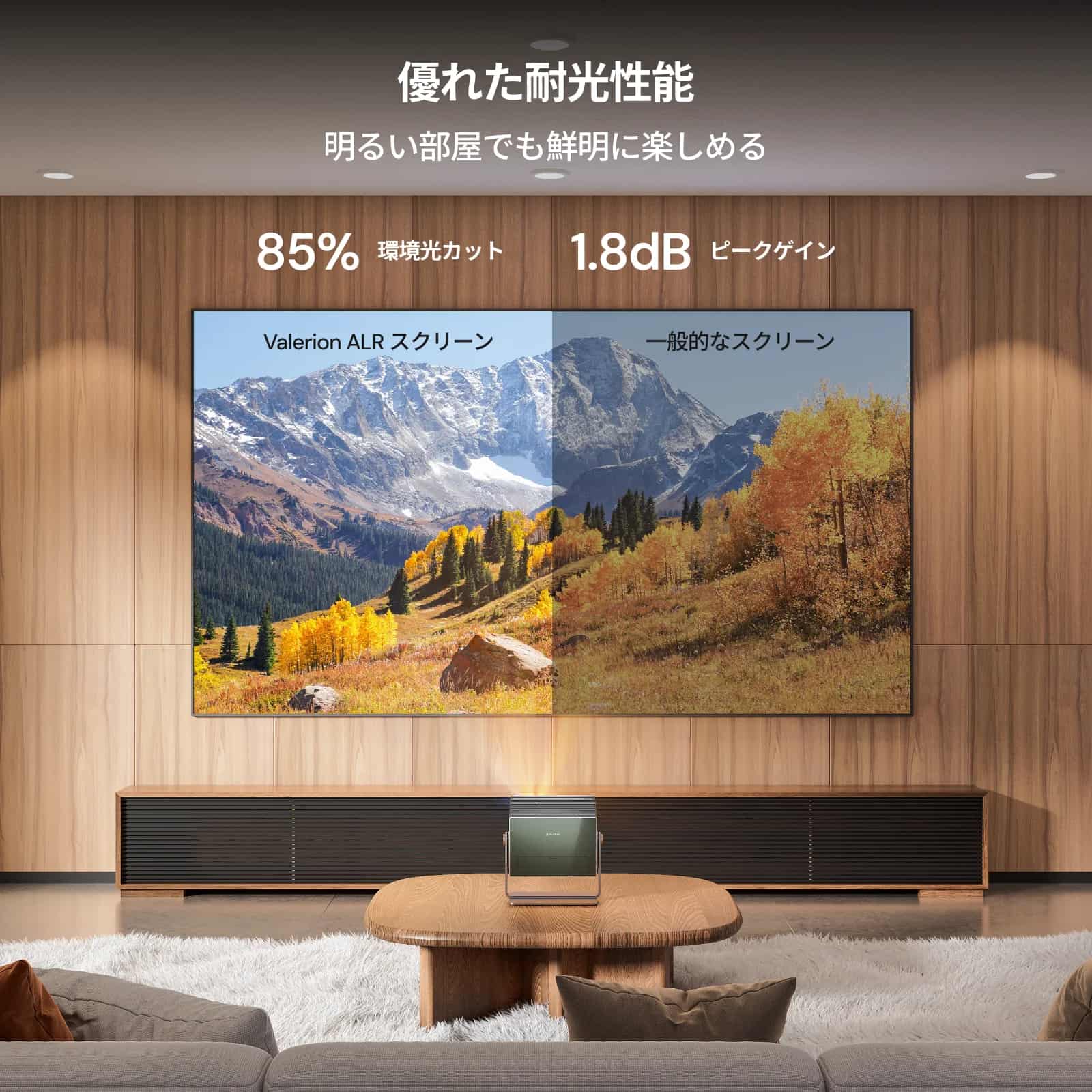 ヴァレリオン100インチ/120インチ フレネル環境光カットスクリーン ヴァレリオン100インチ/120インチ フレネル環境光カットスクリーン